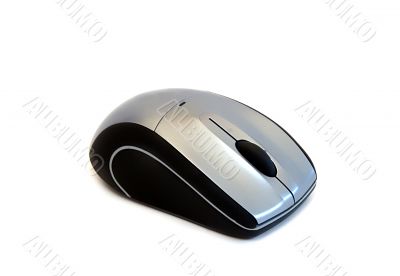 Computer mouse close-up