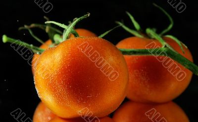 Tomatoes in water