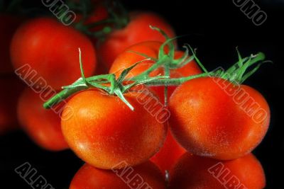 Tomatoes in water