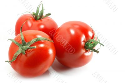 tomatoes