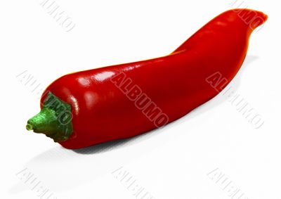 Red hot chilli pepper