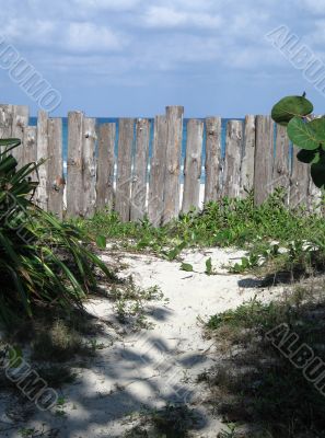 wild path to the beach