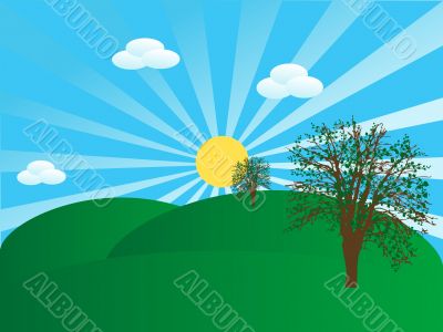 Summer landscape