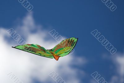 Kite in the sky