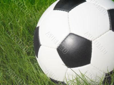 Soccer ball