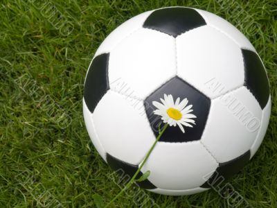 Soccer ball