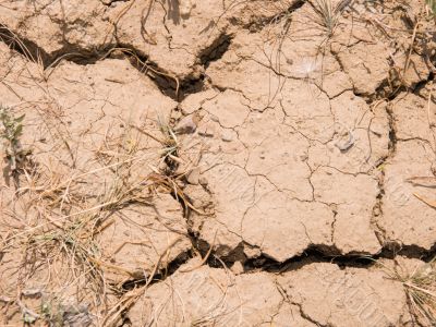 earth texture