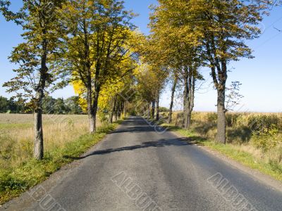 Straight route