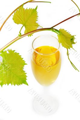 Glass of wine