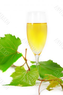 Glass of wine