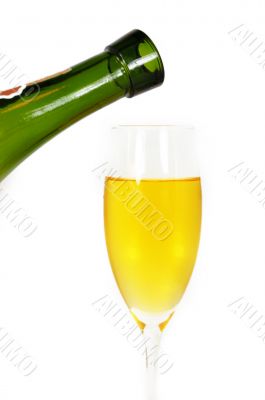 Glass of wine