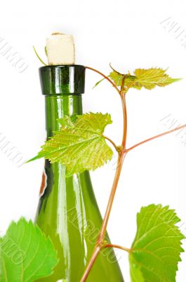 Wine bottle