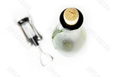 Wine bottle