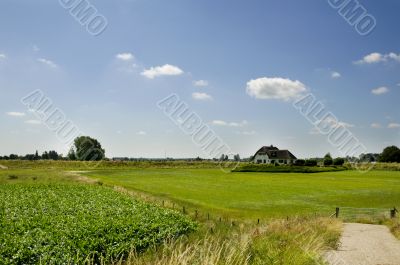 Dutch landscape
