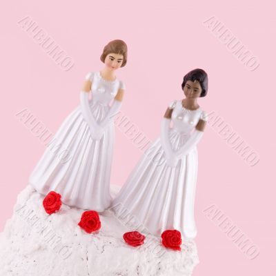 lesbian wedding day