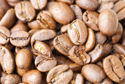 coffee beans background