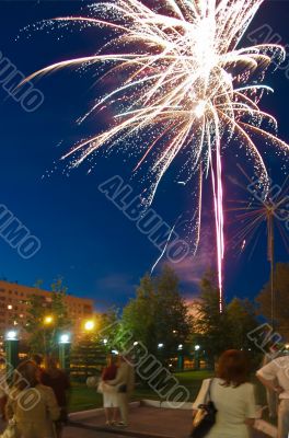 Peoples looking on festively firework