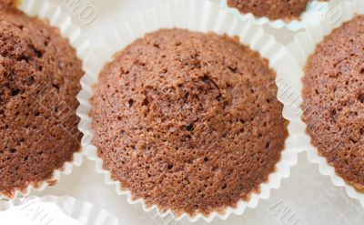 chocolate cup cakes