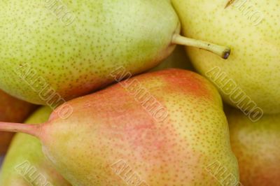blush pear background