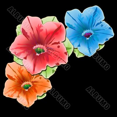 Petunia Trio