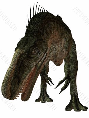 Monolophosaurus-3D Dinosaur