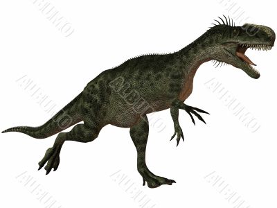 Monolophosaurus-3D Dinosaur