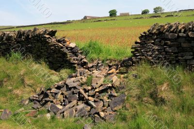 Collapsed Dry Stone Wall
