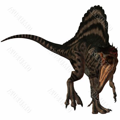 Spinosaurus-3D Dinosaur
