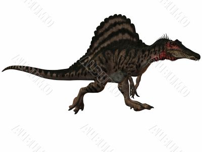 Spinosaurus-3D Dinosaur