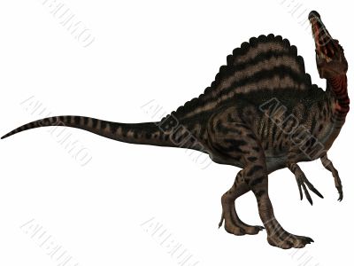 Spinosaurus-3D Dinosaur