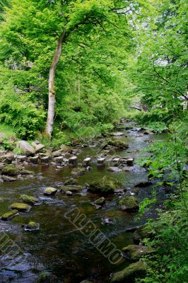 Stream near Hardcastle Crags