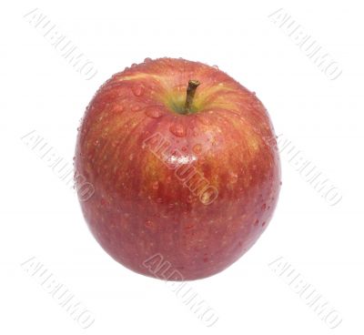 Red apple