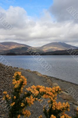 Derwentwater