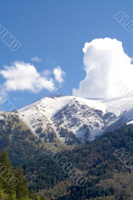 Caucasus