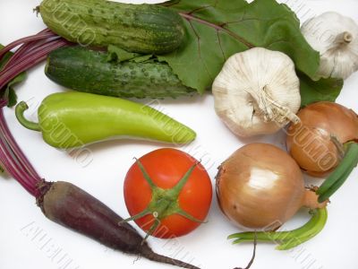 Many different vegetables