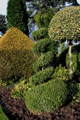 Topiary