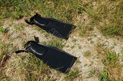 Swimfins