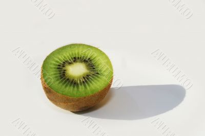 Kiwi on white