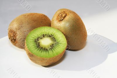 Kiwi on white