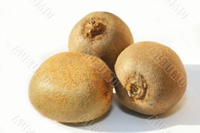 Kiwi on white