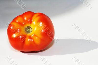 Tomato