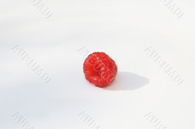 Single Raspberry
