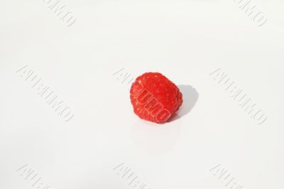 Single Raspberry