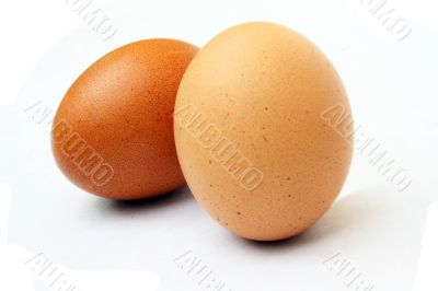 Speckled Egg on white