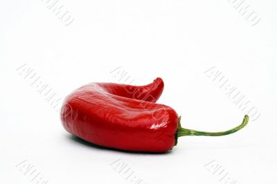 Red chili peppers