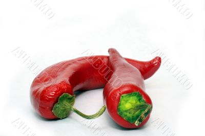 Red chili peppers