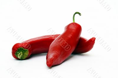Red chili peppers