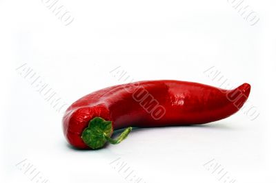 Red chili peppers