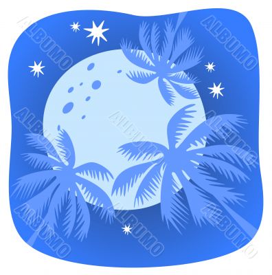 tropical night sky