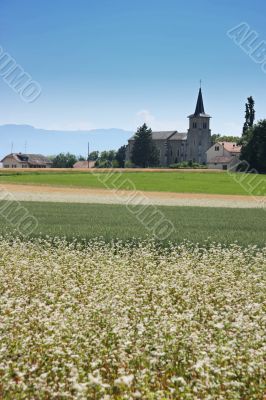 Country church